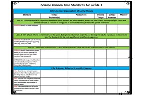 Grade Level Standards