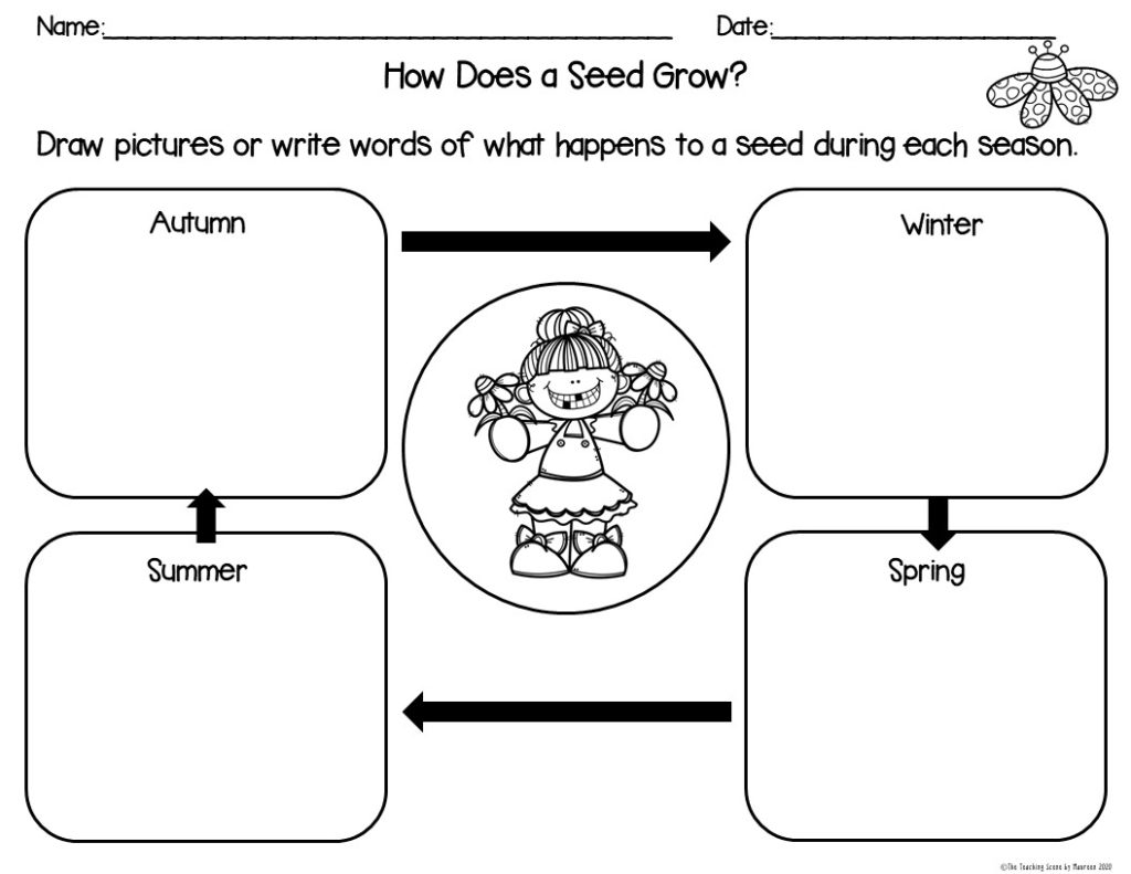 flowers-children-s-books-with-literacy-extension-activities