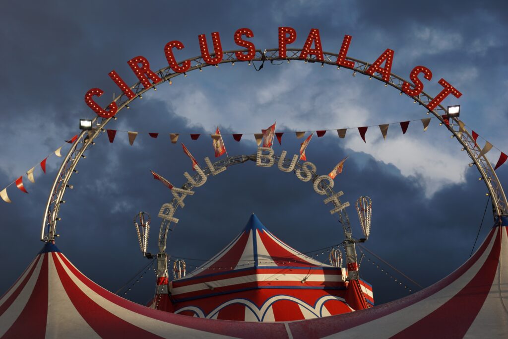 Circus Children's Books With Literacy Extension Ideas