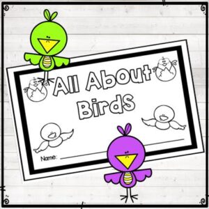 Birds Childrens Books
