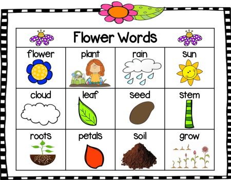 Flower Word Bank