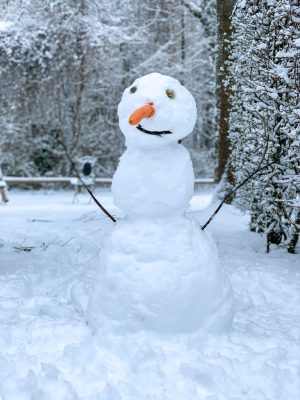 snowman 2